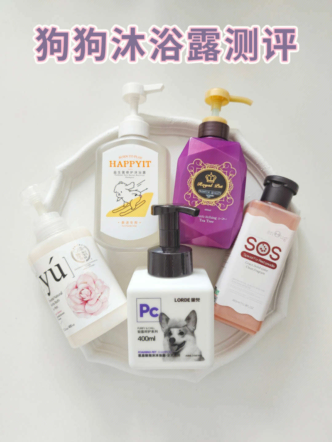 狗狗沐浴露用品測評與選擇指南 計(jì)算機(jī)信息技術(shù)視角下的科學(xué)推薦